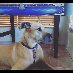 Meet your Posher, Lina